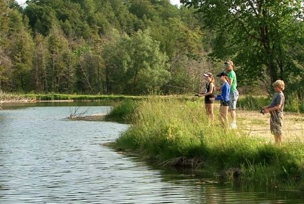 Wilmer Trout Ponds ( Public Fishing )