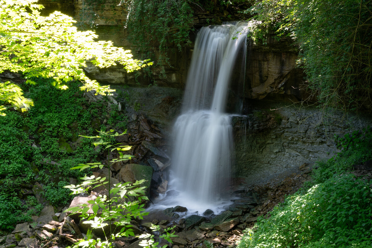 Photo of waterfall through trees in forest