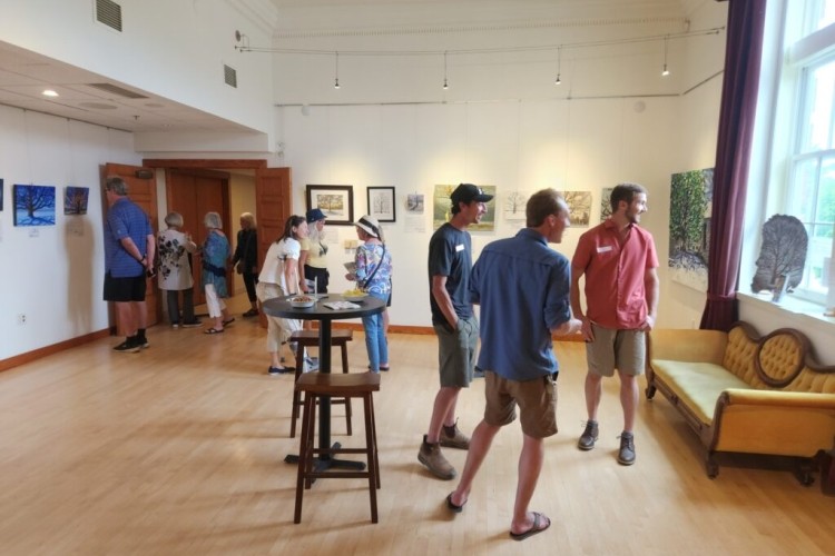 Looking at art 