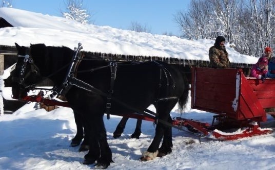 A horse-drawn wagon in winter.