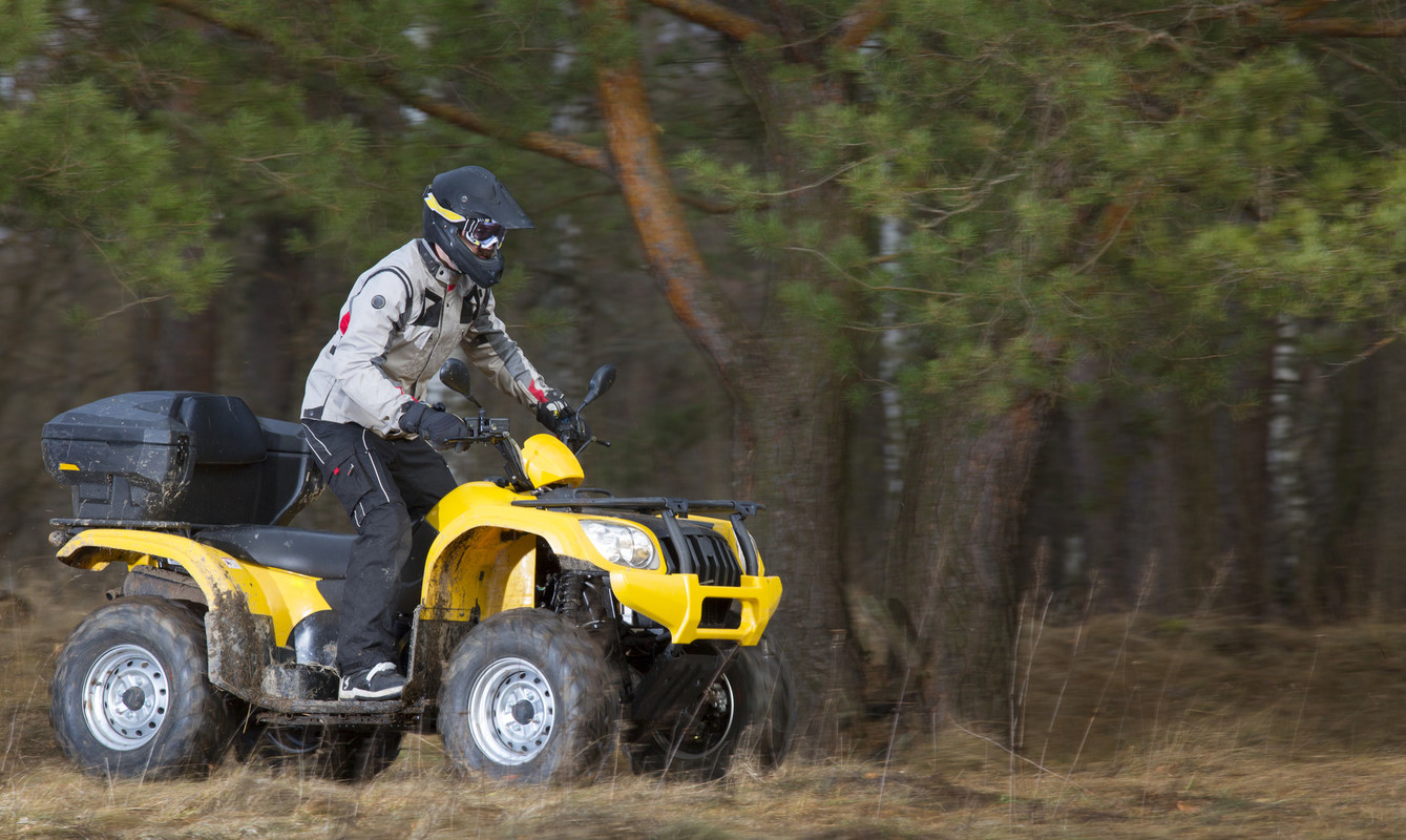 Person riding ATV through woods 