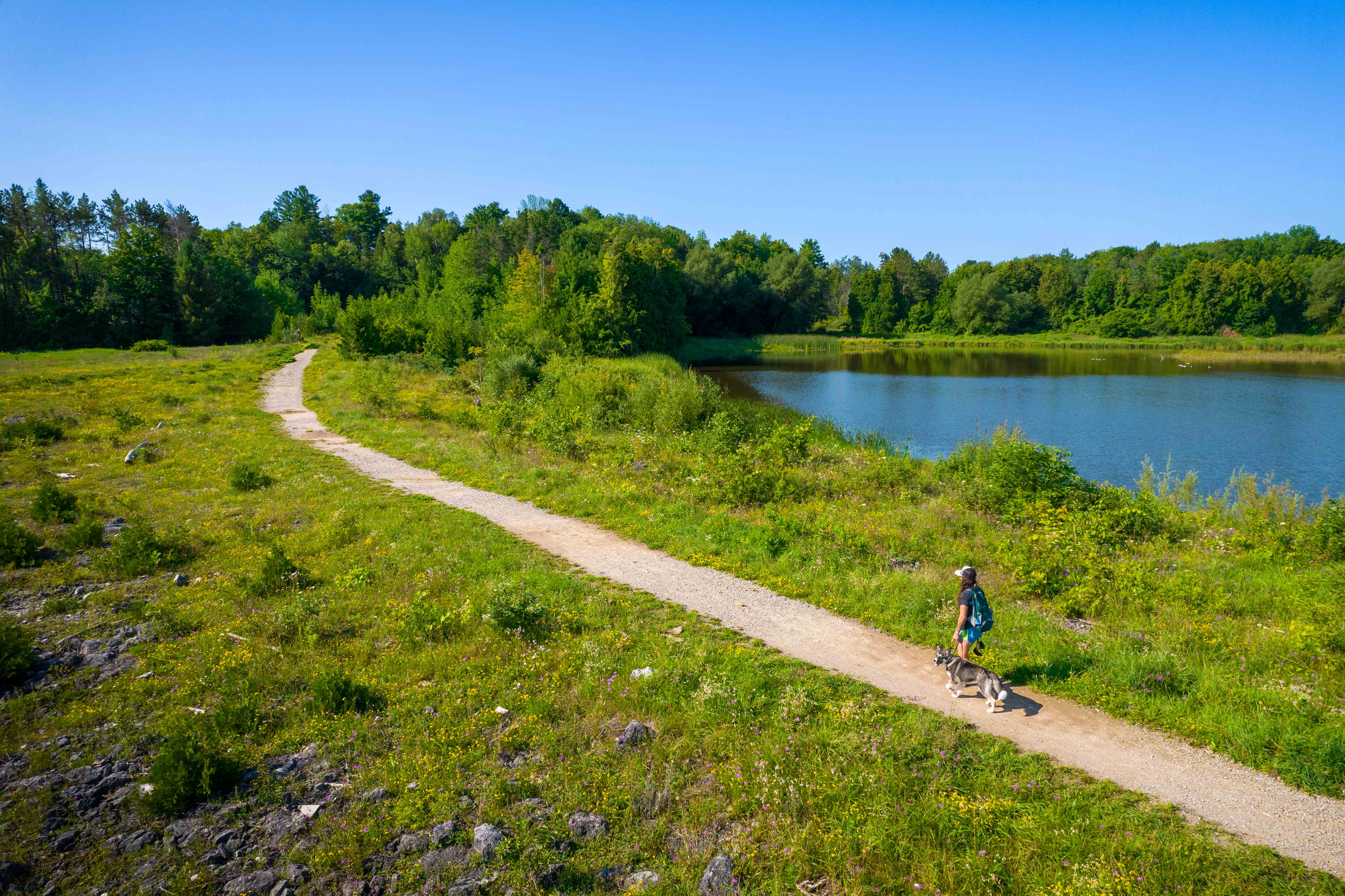 Aerial view of a person walking a dog along a crushed stone trail on a clear bright day.