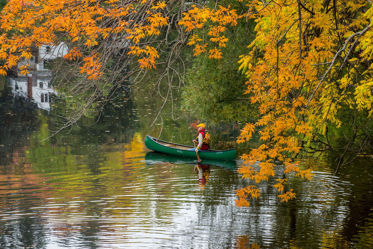 Man in a canoe paddling down a river with tree branch in frame. 