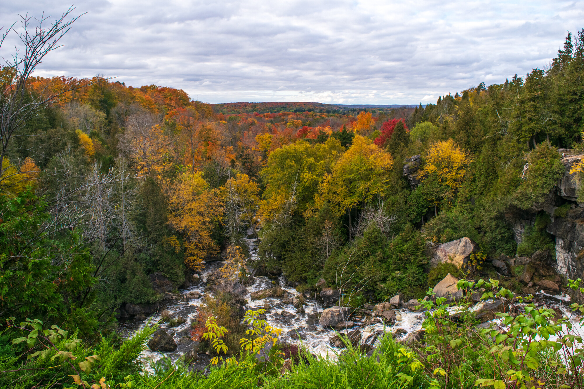 A riot of fall colours light up the landscape below Inglis Falls.