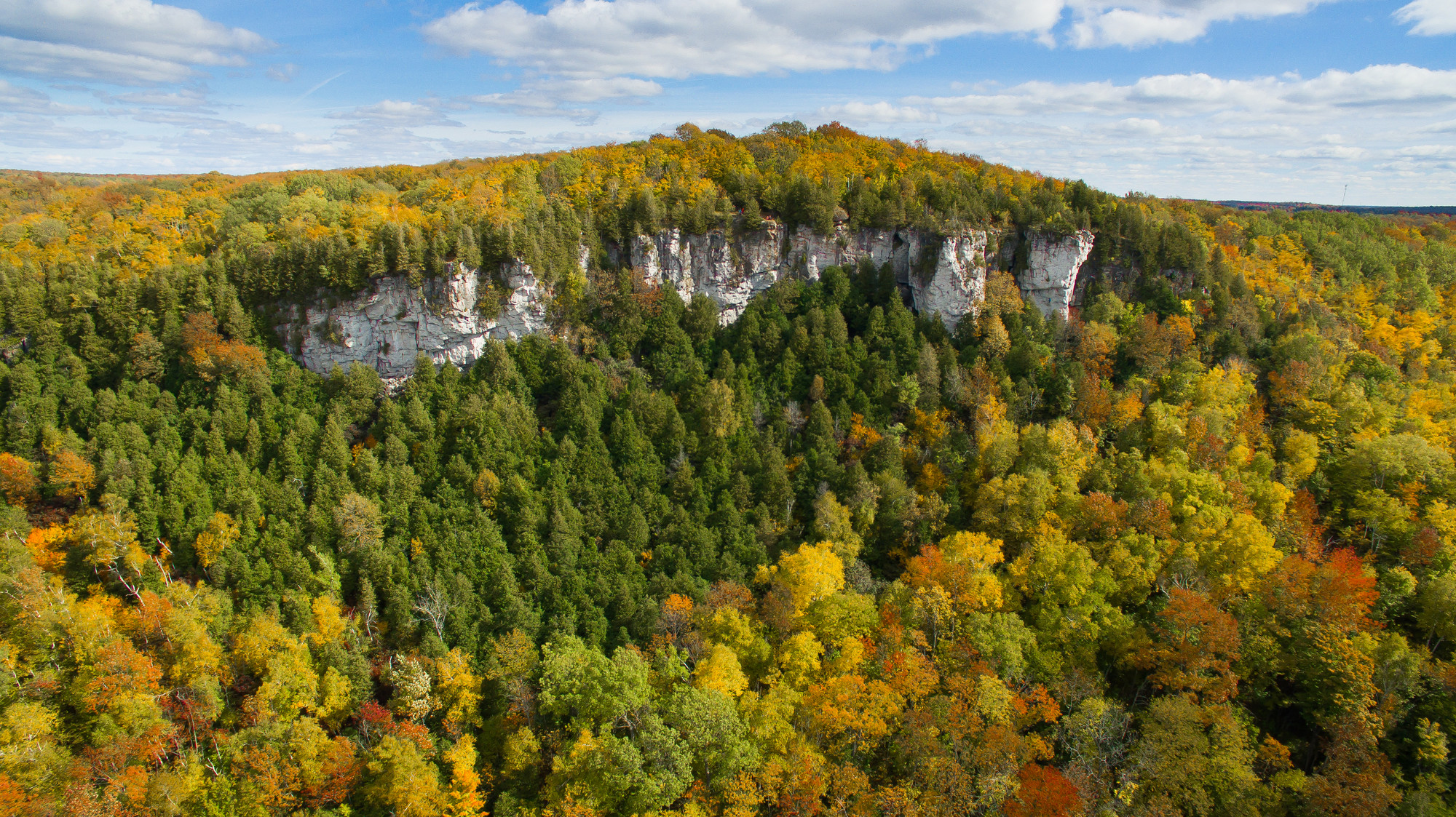 Aerial view of exposed escarpment cliffs surrounded by trees featuring fall colours.