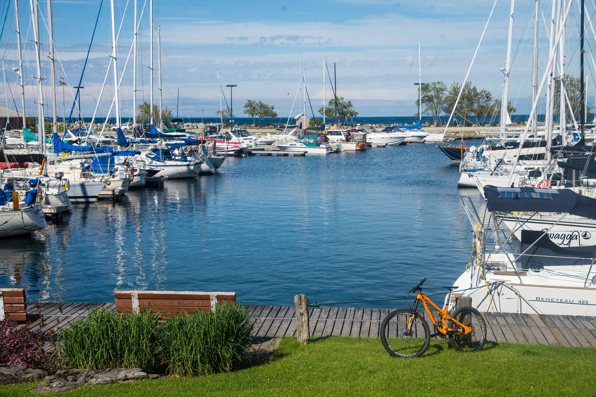 Marina filled with sailboats on calm water, with an orange bike parked by the dock.