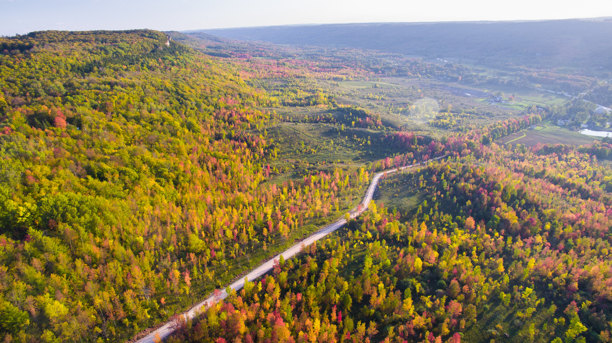 Aerial view of a forested area with bright fall colours, a road follows a winding path through the trees.