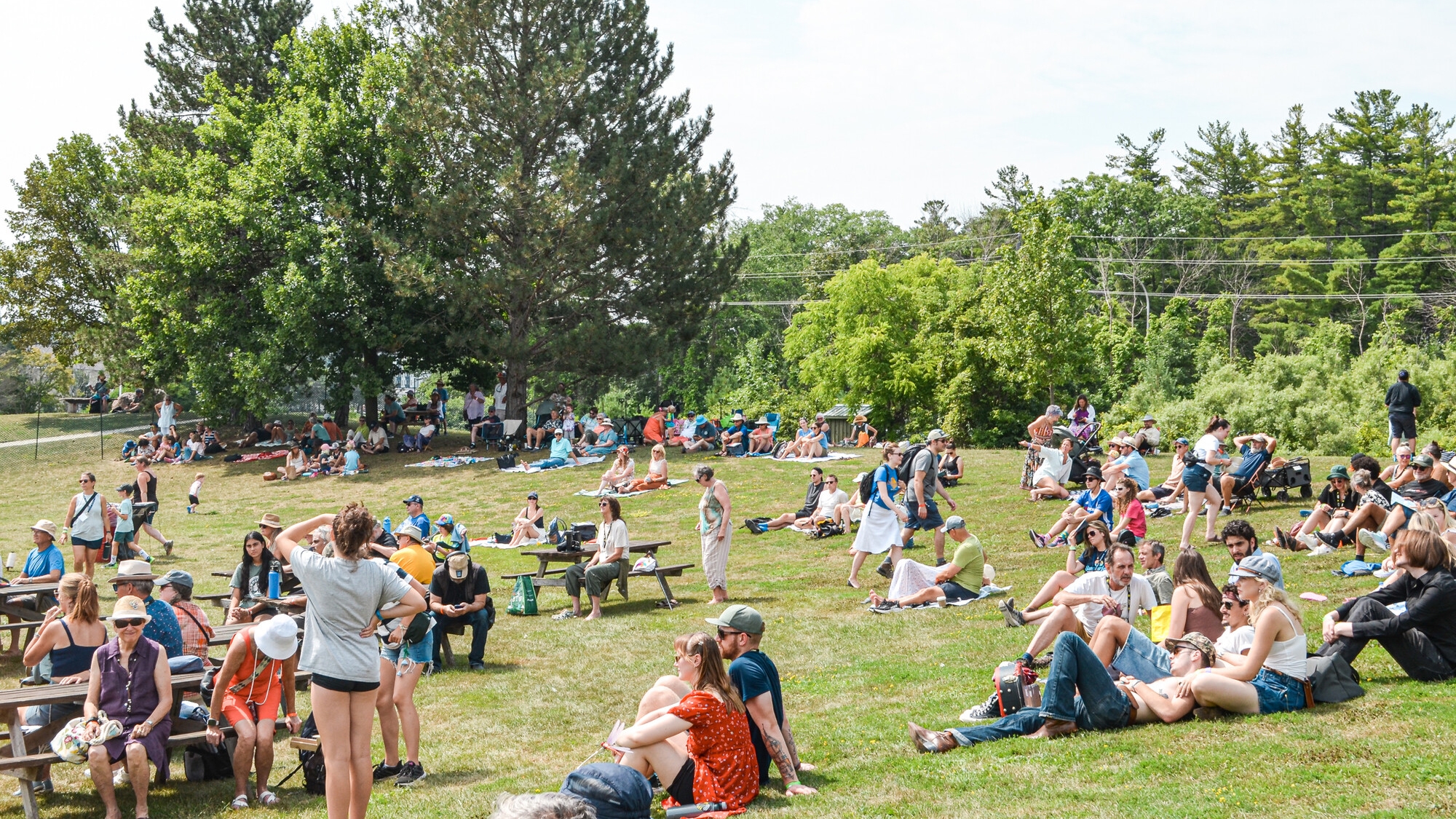 People seated and lying on a hillside in a park.