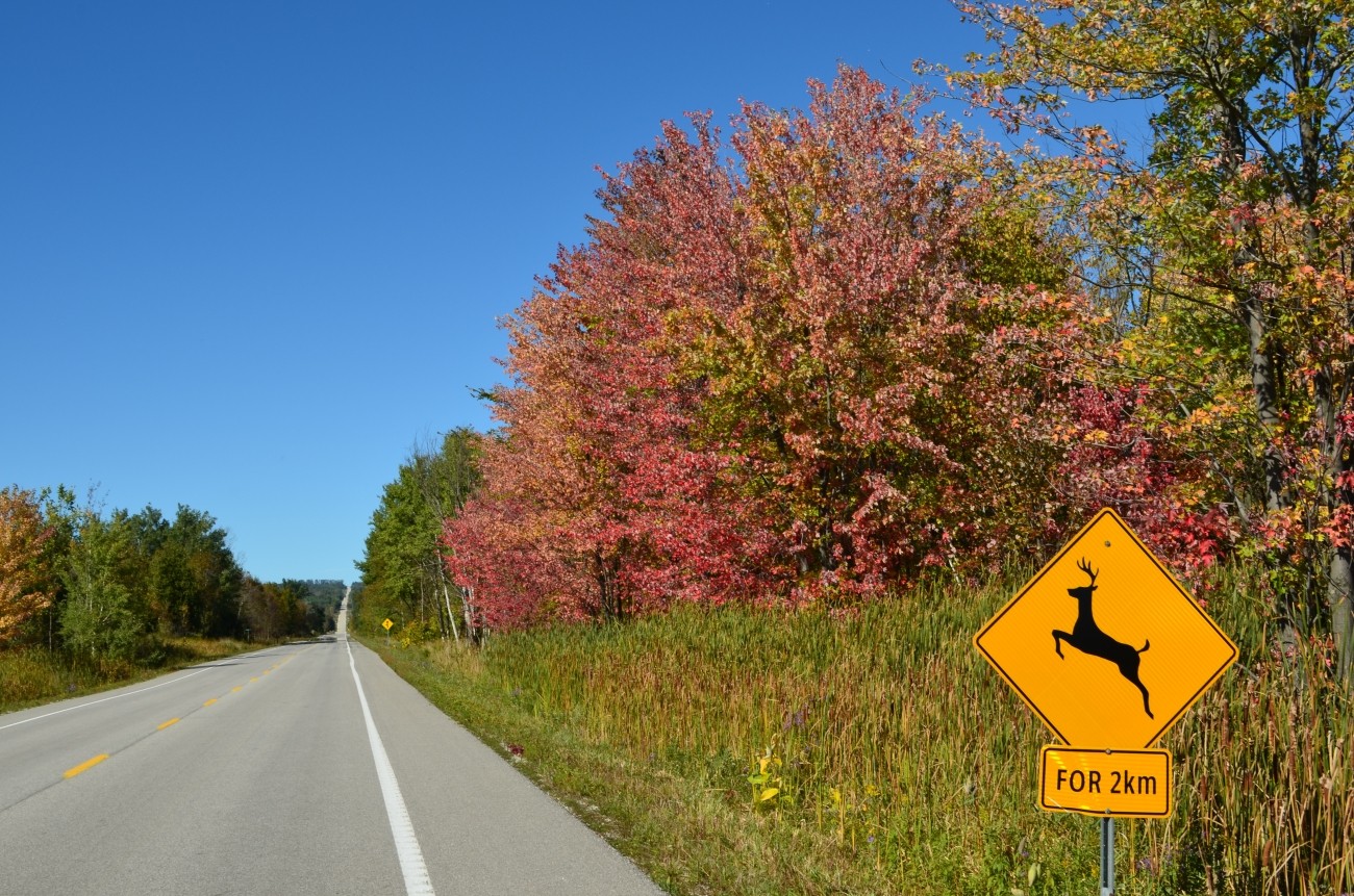 Country road on a clear fall day.