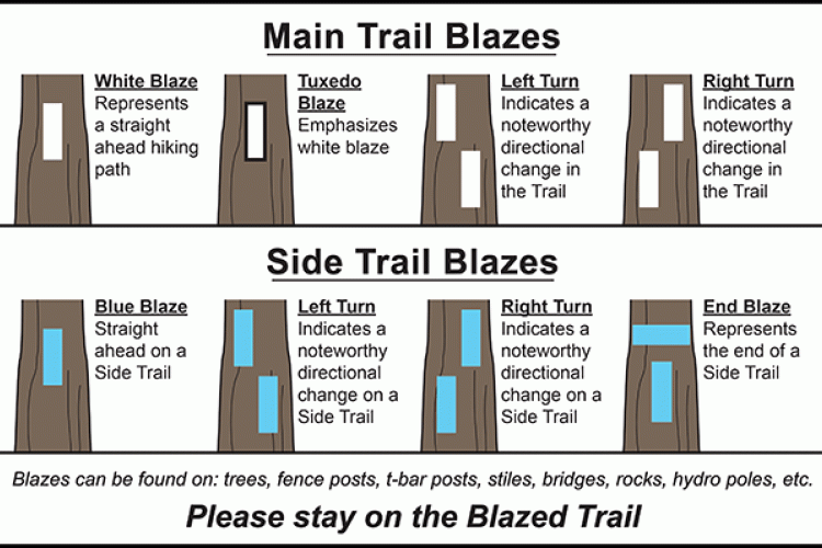 Infograph showing examples of Bruce Trail blazes and their meanings.