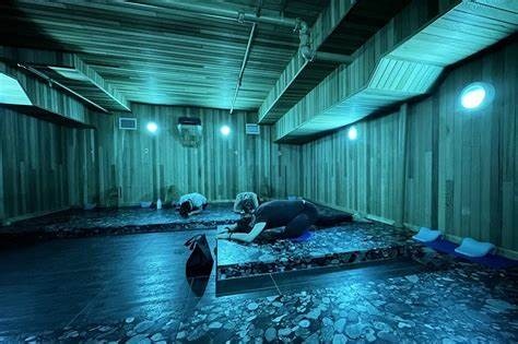 Blue light washes over a room where people perform yoga poses on stones.
