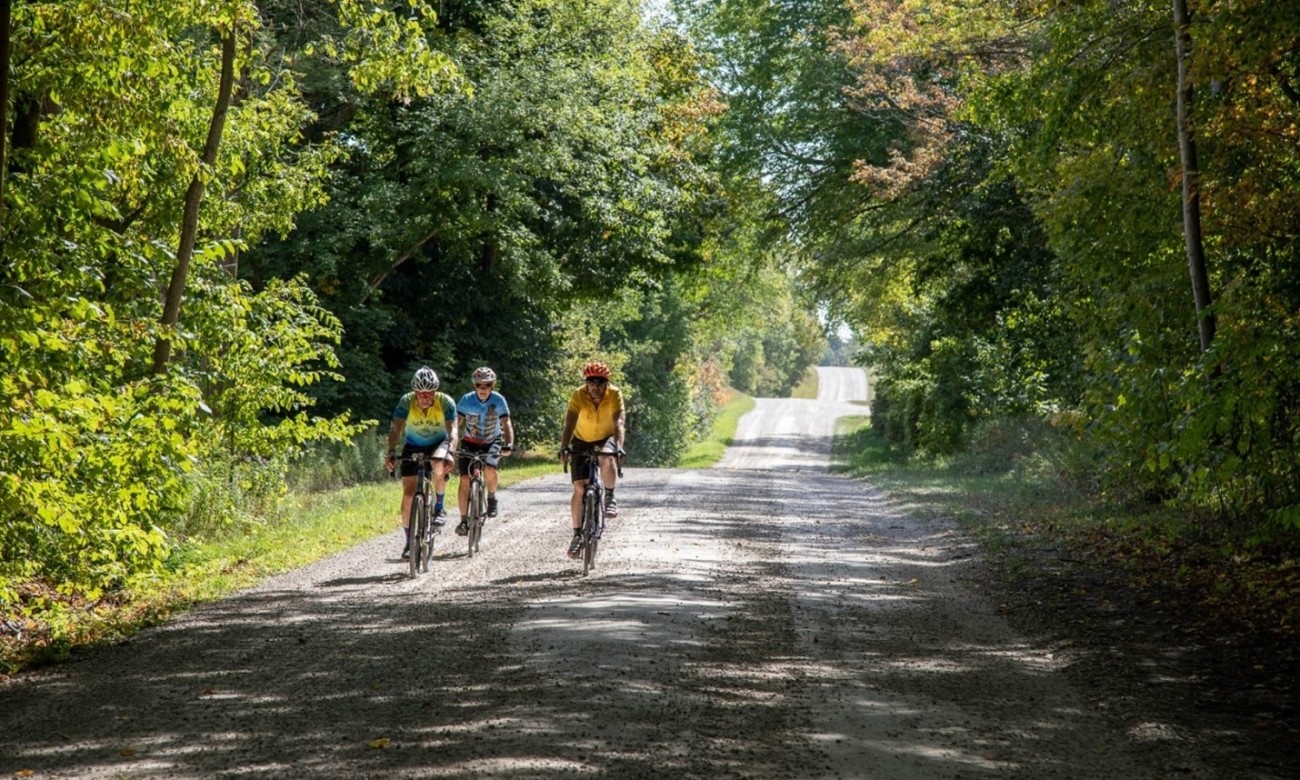Three cyclists on a gravel road with tree branches overhead.
