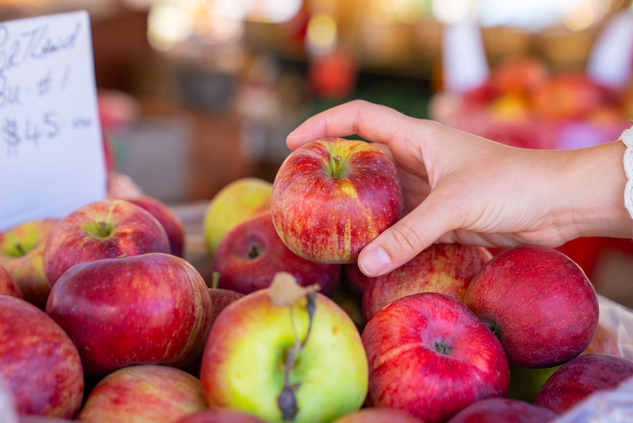 A hand picking up an apple from a pile of apples.