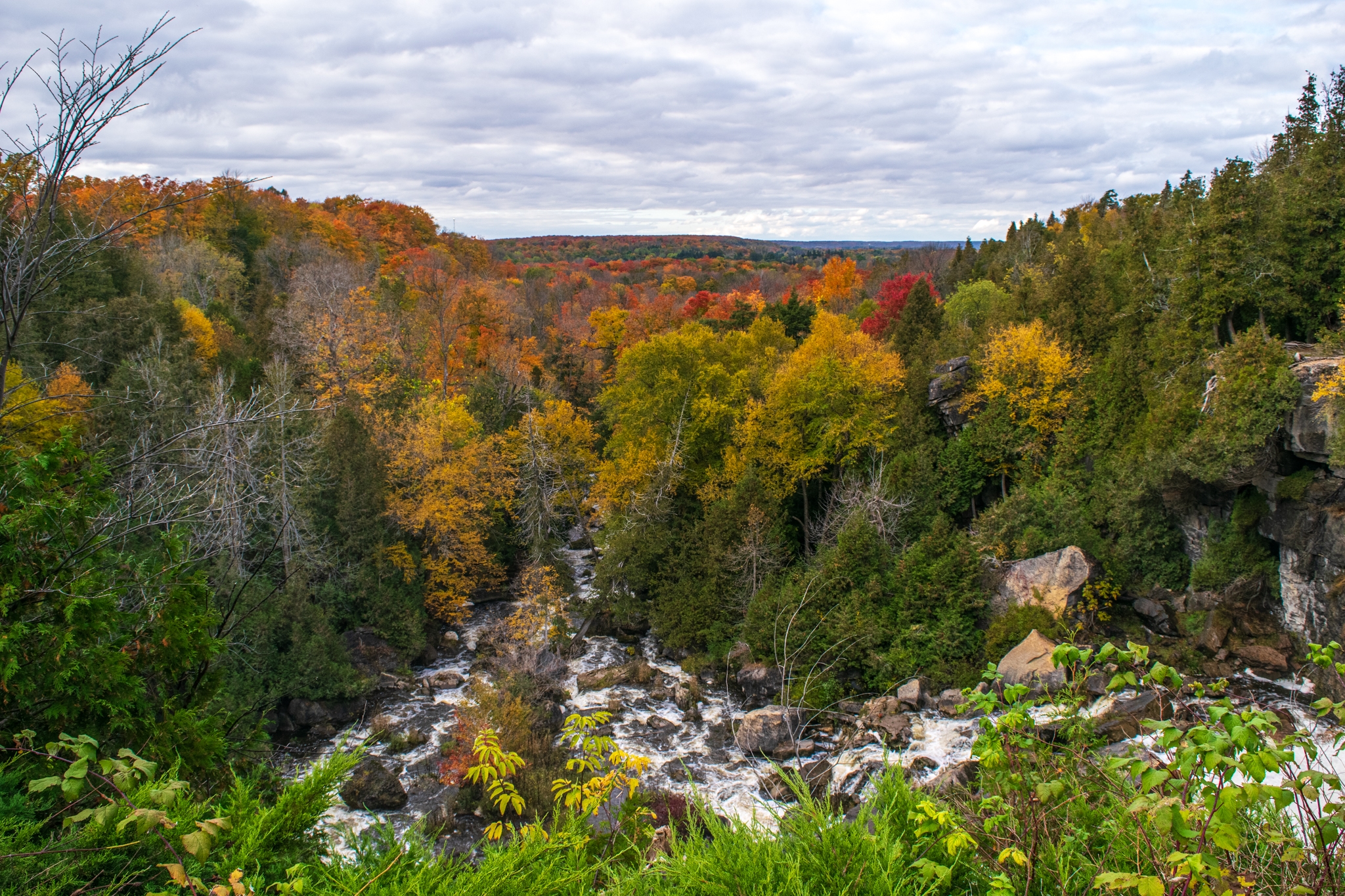 Water flows along a river through a forest displaying fall colours.