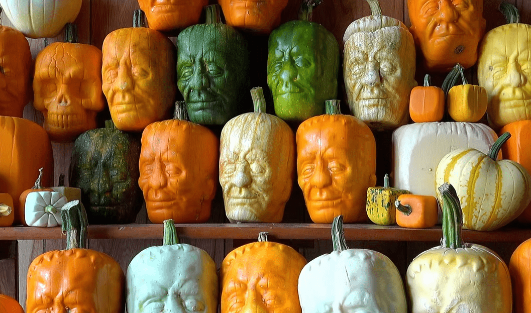 Pumpkins of various colours formed into shapes of monster heads.