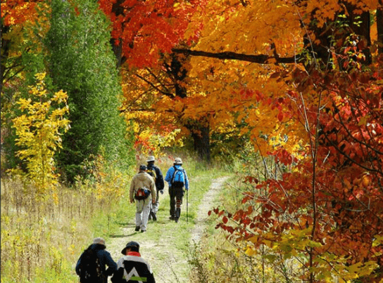 Hikers on a narrow trail in the fall.