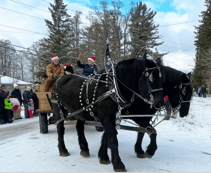 Two black horses pull a wagon in a Santa Claus parade.