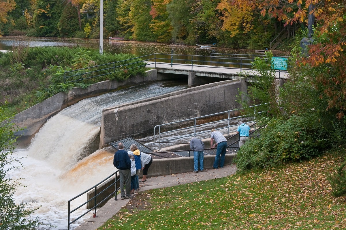 A group of people viewing water rushing down the Mill Dam.