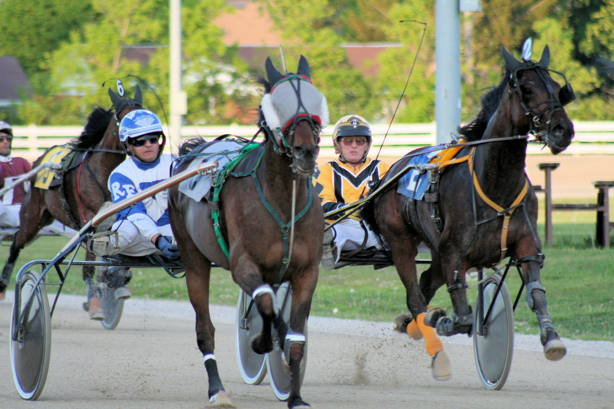 Harness racing horses pulling sulkies at full speed on a dirt track, with drivers in colorful racing uniforms.