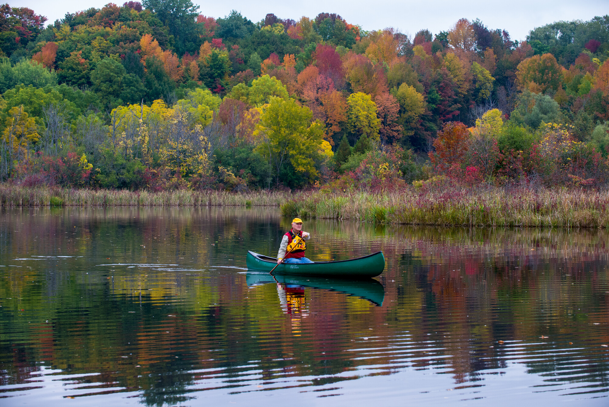A canoeist on the Sydenham River in fall.