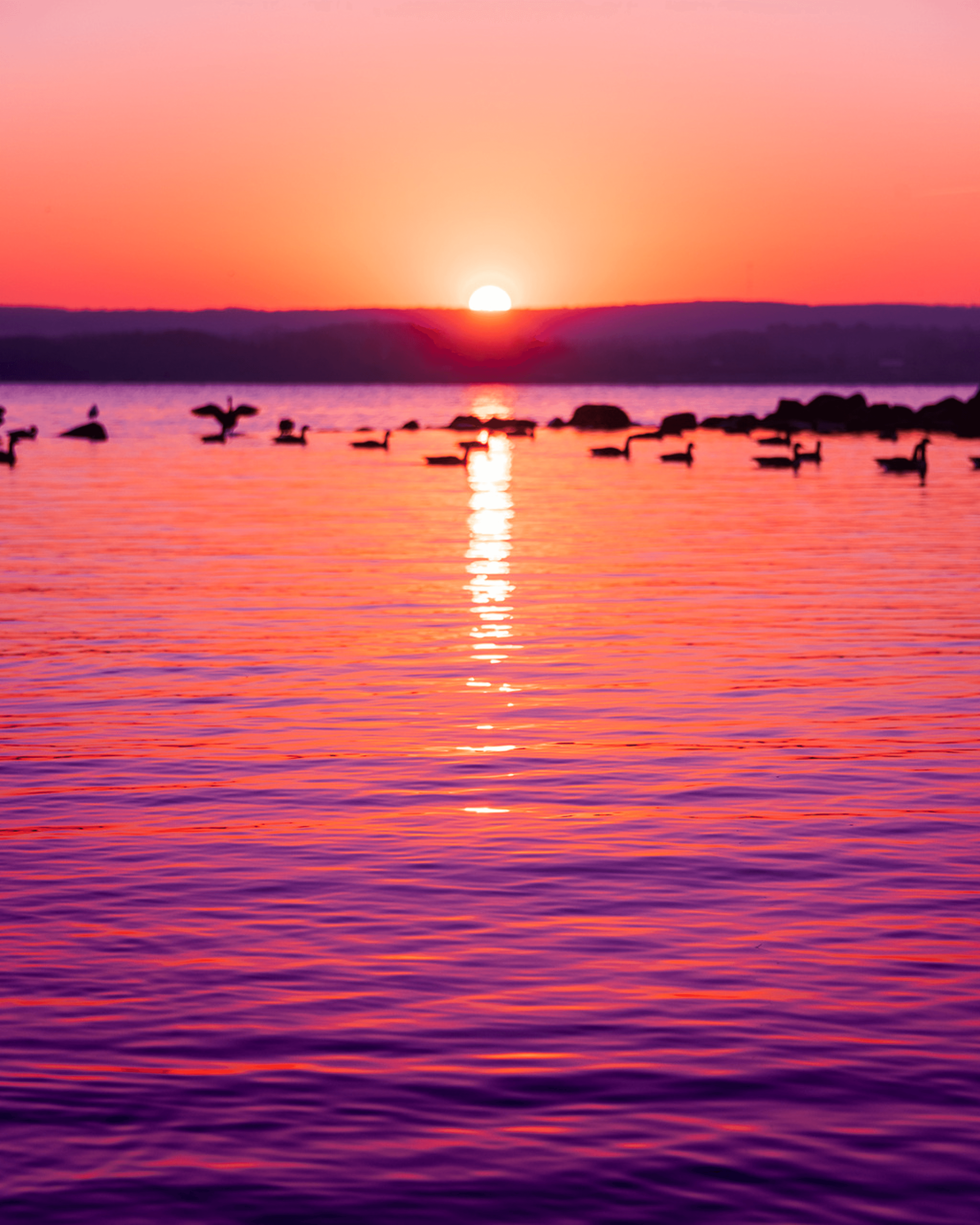Sunrise casting pink and purple light onto a body of water.