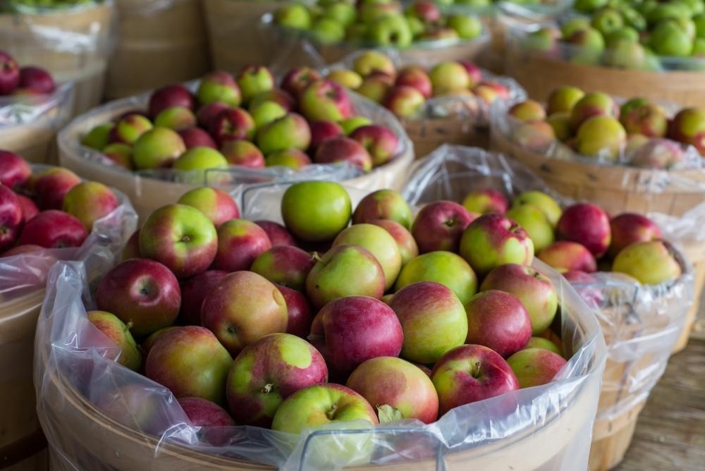 Several bushels of apples.