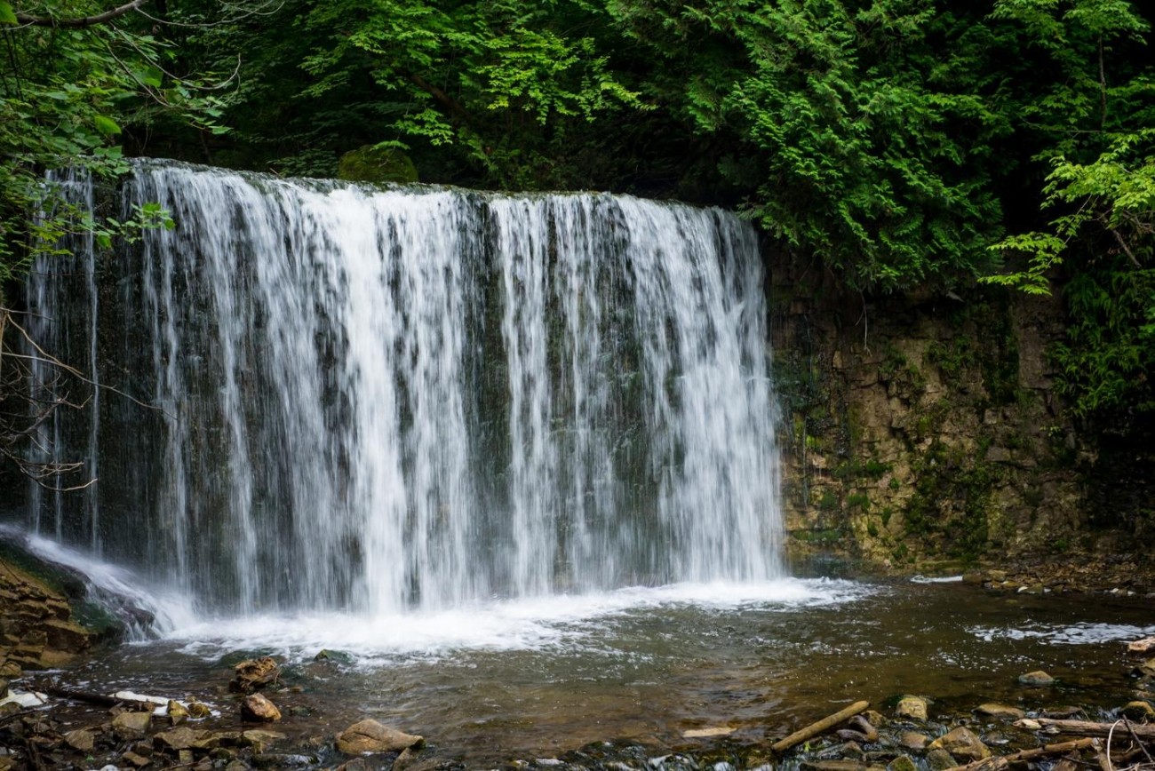 A waterfall in vibrant green forest.