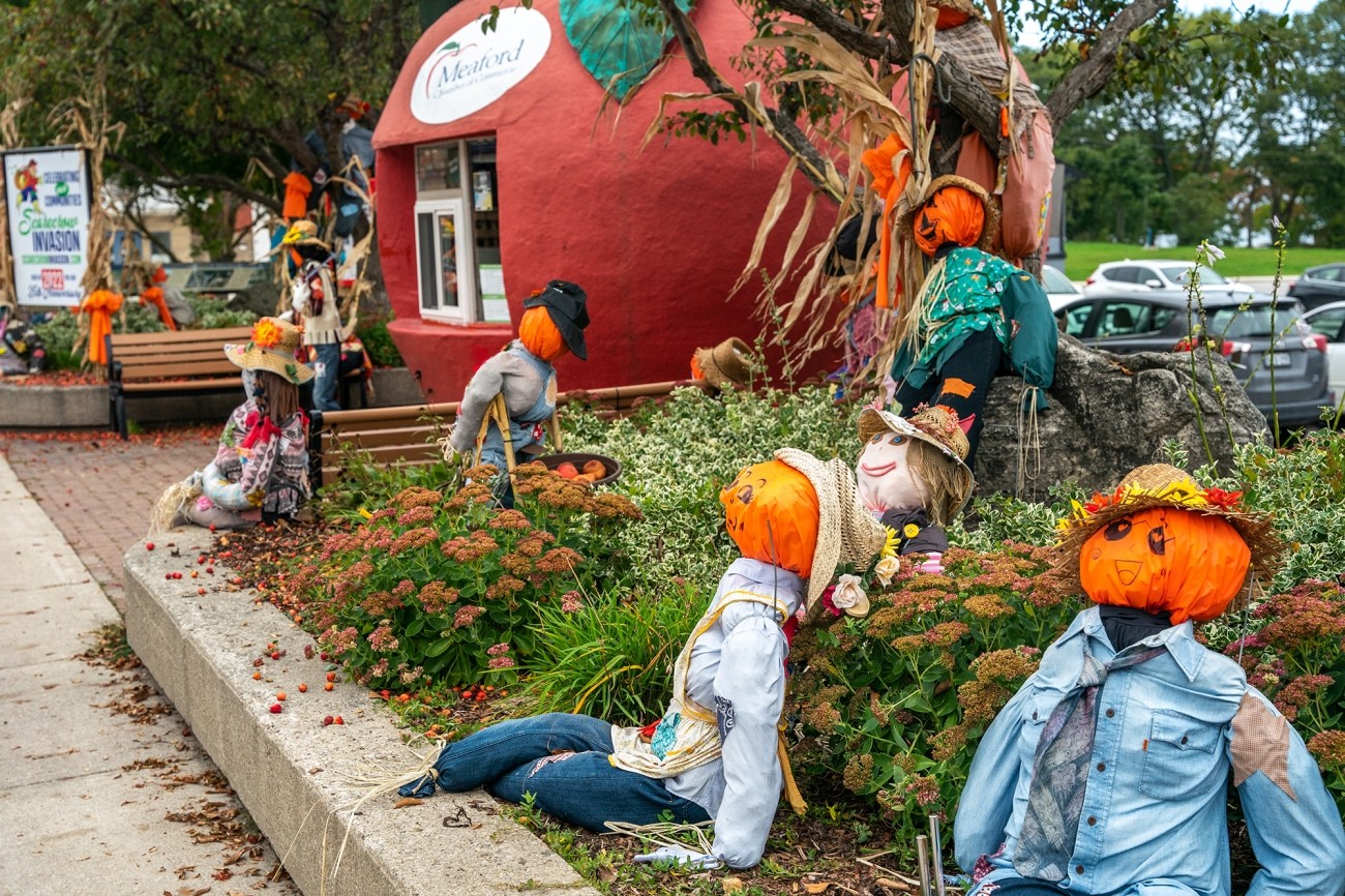 Several decorative scarecrows placed in a garden.
