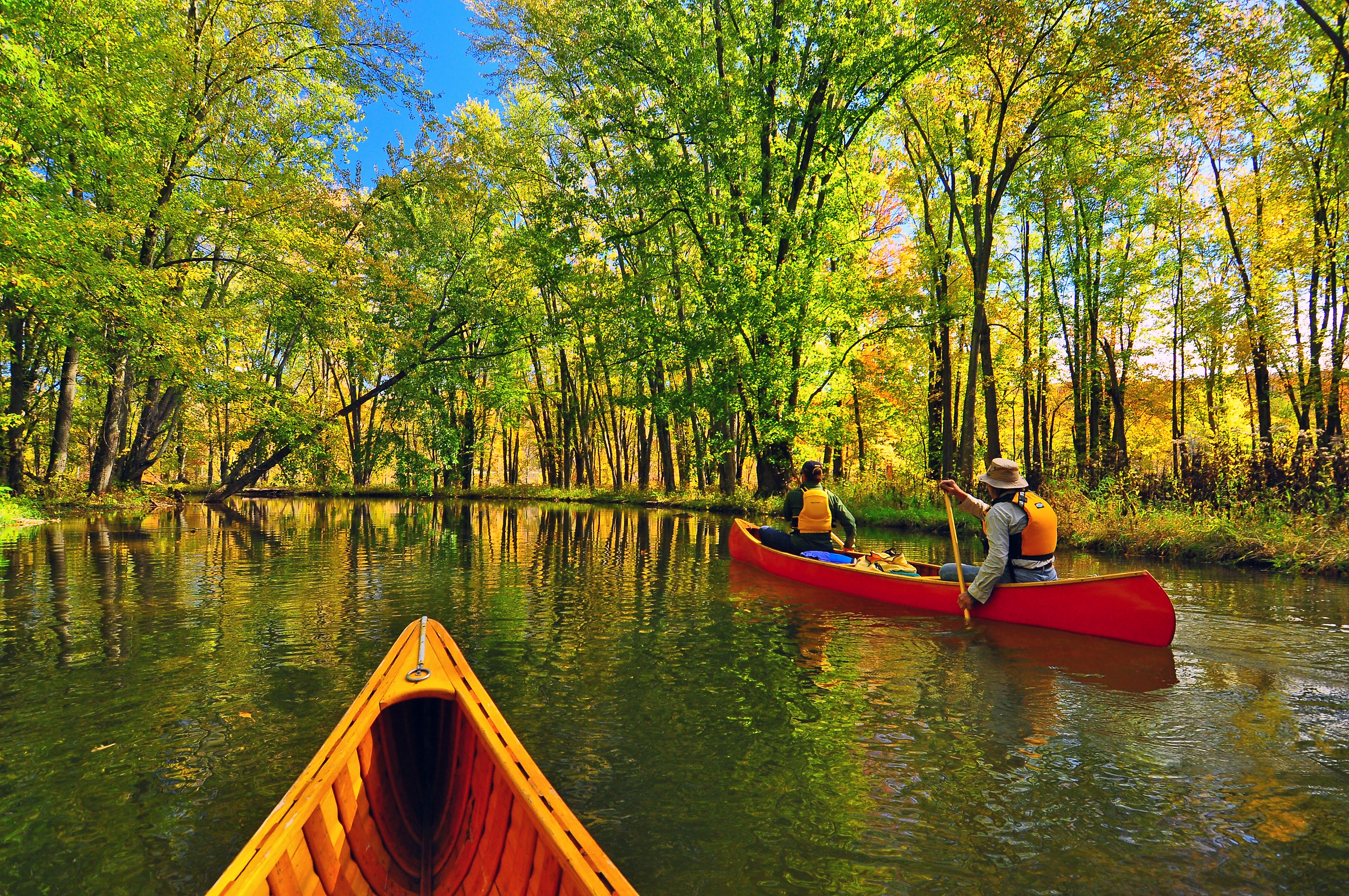 A couple canoeing down a river surrounded by trees