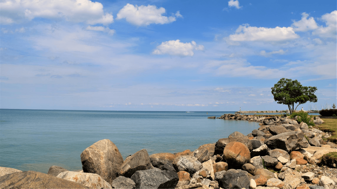 Waterfront on a sunny day