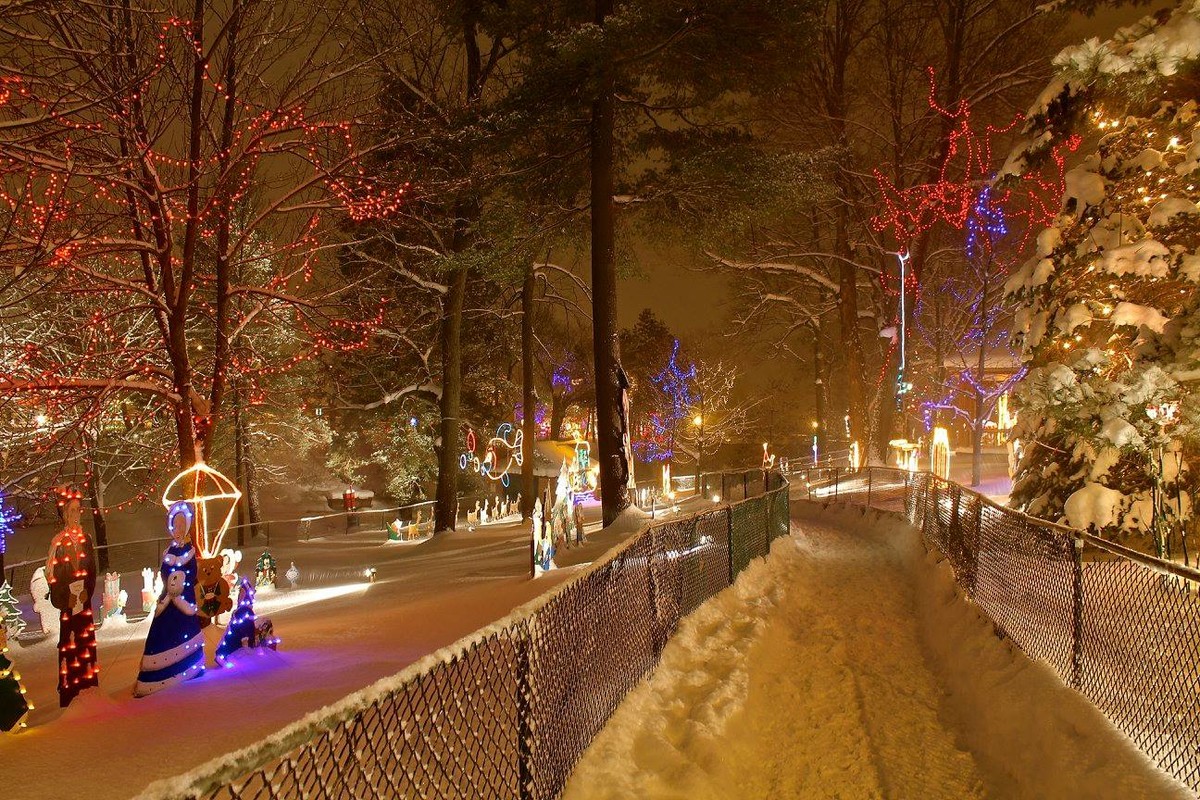 Festival of Northern Lights