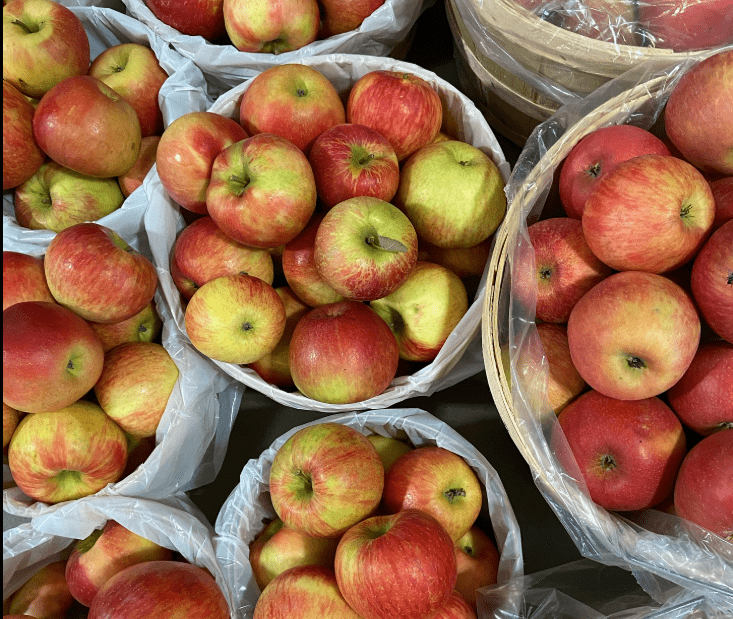 Top down view of several baskets of apples.