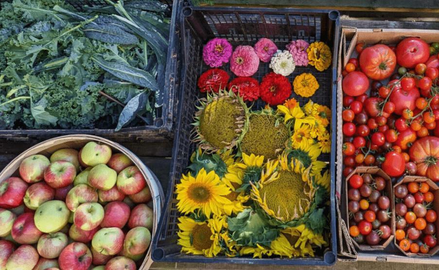 Top down view of crates holding fresh produce.